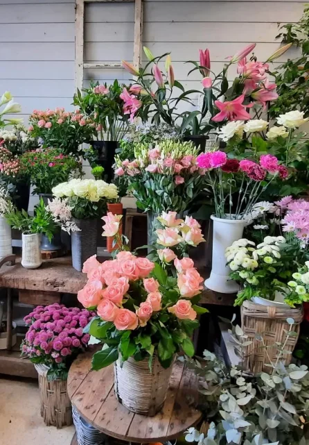 Cote Nature Fleuriste A La Chartre Sur Le Loir Fleuriste 1